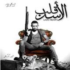 محمد المصرى