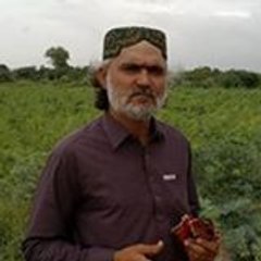 Mir Mujaddidi