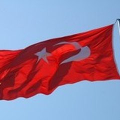 Ahmet Aln