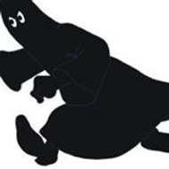 James Miguel Batista