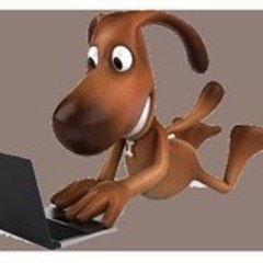 schoolanduniversity.com