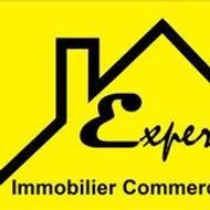 expert_immobilier