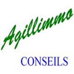 Agence Agillimmo Conseils