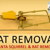 AtlSquirrelRemoval