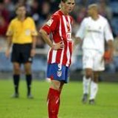 Torres06
