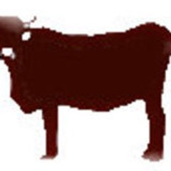 ternerasayaguesa