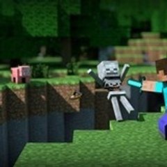 Minecraftien9
