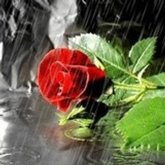 Rashi