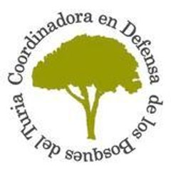 coordinadorabosquesturia