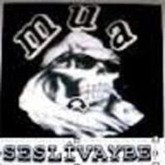 seslidiyalog_