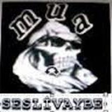 SesliAnlam