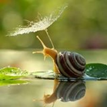 Đổi Thay
