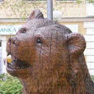 Stéphanie Michenaud