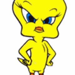 My_iSTBuLe