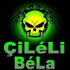 Mert Pala