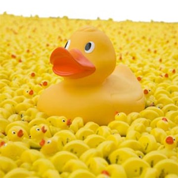 SittingDucksComedy