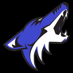 TLT INDUSTRIES VIDEO CHANNEL
