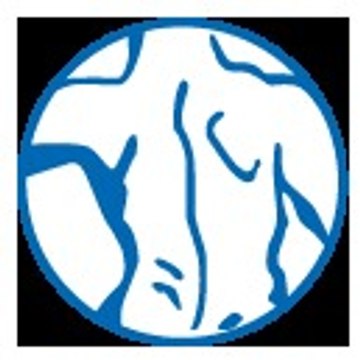 SparksChiropractor
