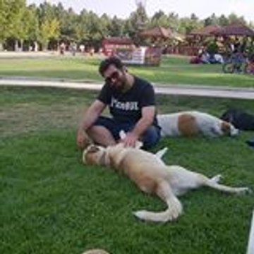 Gökhan Sürmeli
