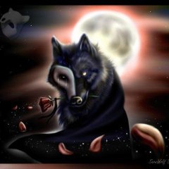 Fallnight44
