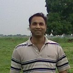 Zulfiqar Ali