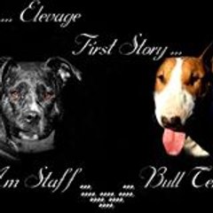 Elevage FirstStory