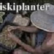 KiskiPlanter
