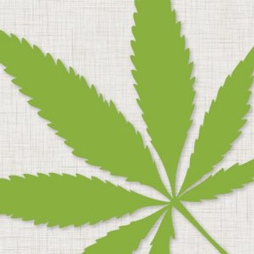 קנאביס - מגזין עם כיוון