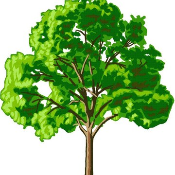 TreeChannel