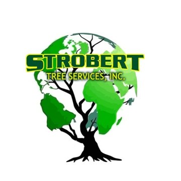 StrobertTreeServices