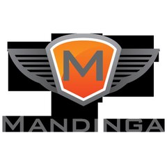 Mario Mandinga