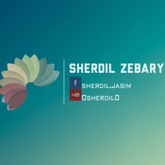 Sherdil Zebary