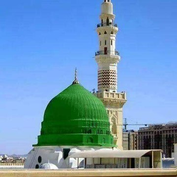 NAAT ONLINE(official)