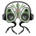 StereOrganic