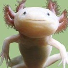 진영 전