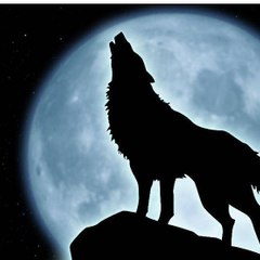 floatwolf411