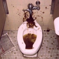 noragreenwaldCUMDUMP