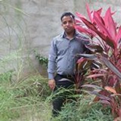 Surendar Singh Padiyar