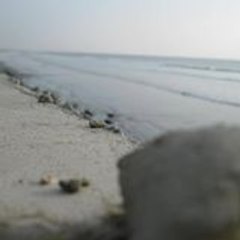 Syed Mohsin Ahmed