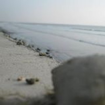 Syed Mohsin Ahmed