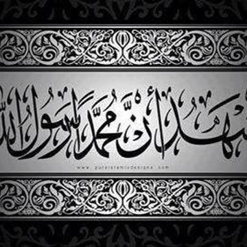 SAED SAMINA SALEHAH