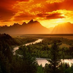 בני ישראל אלס