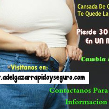 adelgazarrapidoyseguro
