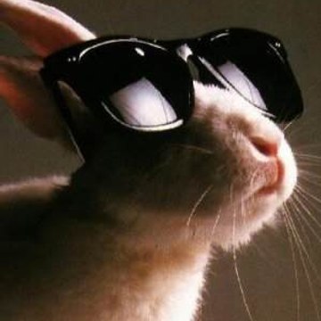 EnjoyRabbits