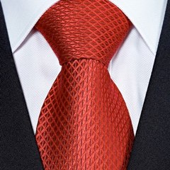 Lawyer Facts - Blog About Lawyers