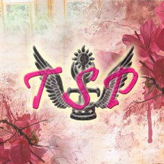 TSPsubTeam