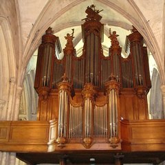 Organistus