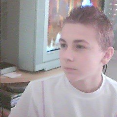 Saxt_wZ