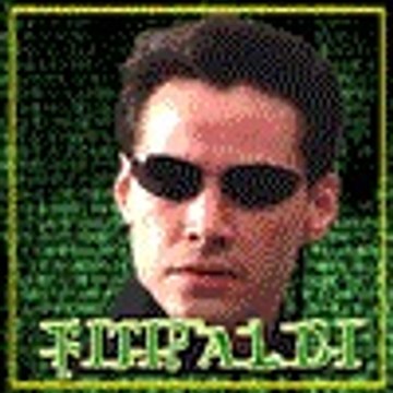 Fiti Paldi