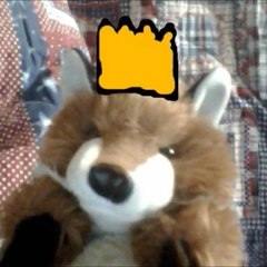 TheFoxPrince11